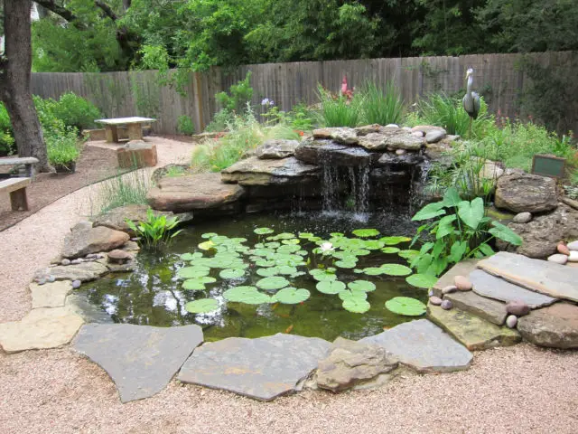 Pond Water Feature Supplies 62