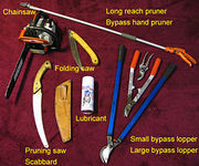 250px-Pruning_Tools_M_D_Vaden.jpg