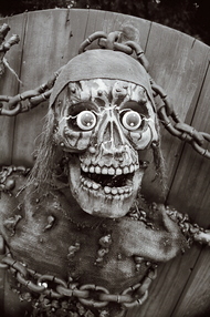 Brewster_db_BWWot1.jpg