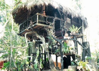 Sipaphays_former_home-a_tree_house.jpg