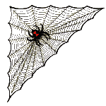 SpiderWebL.gif