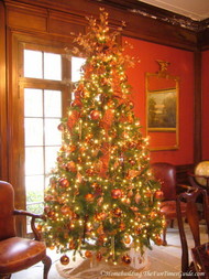 Tate_House_library_Christmas_tree.JPG