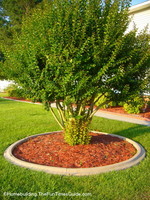 concrete_landscape_curbing0.JPG