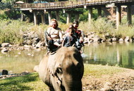 elephant_taxi-ride.jpg