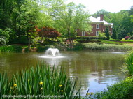 pure_serenity_by_the_pond.JPG