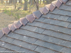 tile-roof.JPG