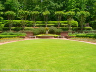 view_from_rear_steps_of_Williams_residence.JPG