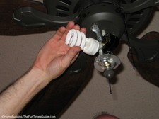 CFL-bulbs.JPG