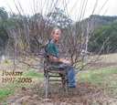 Pete_Cook_sitting_on_his_Pooktre_chair.jpg