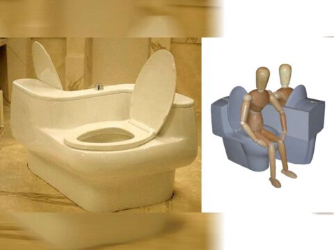 The TwoDaLoo Double-Sided Toilet (A Couples Toilet That’s Not For Me… Us)