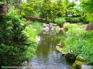 beautiful_pond.JPG