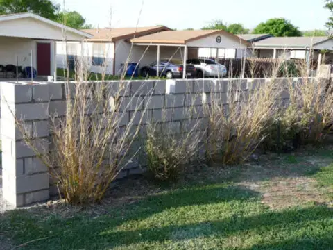 tips for covering a cinder block wall