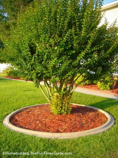 Concrete landscape curbing surrounding islands in the yard provide a great finishing touch.