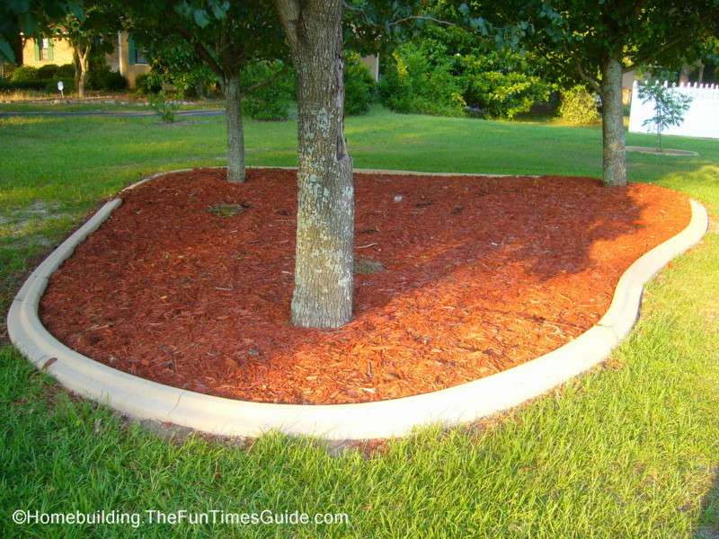 A tree island surrounded by landscape curbing.