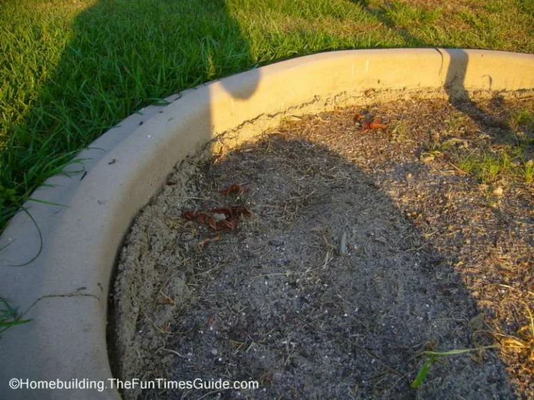 You can see in this photo that the curbing will allow for several inches of much needed mulch to be added and kept in place.