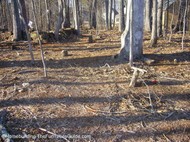 grave_markers_and_stone_structure.JPG