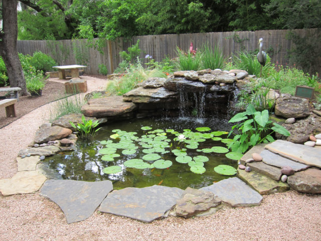 36 HQ Pictures Making A Backyard Pond : How To Build Backyard Concrete Pond or Pool - Part Five ...