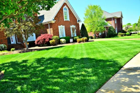 Your lawn could look this nice too with Floratam grass.
