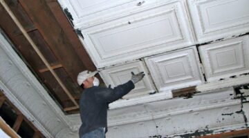 Ceilings Homeowners Sharing Personal Tips Advice For