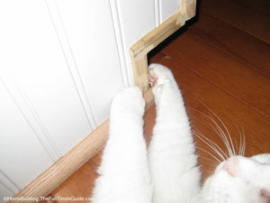 Boo pointing to trim work after we were finished installing wainscoting to the wall